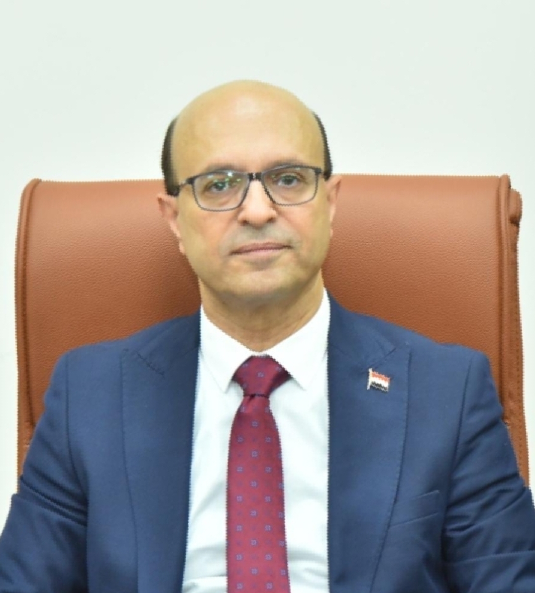 الأستاذ الدكتور أحمد المنشاوي