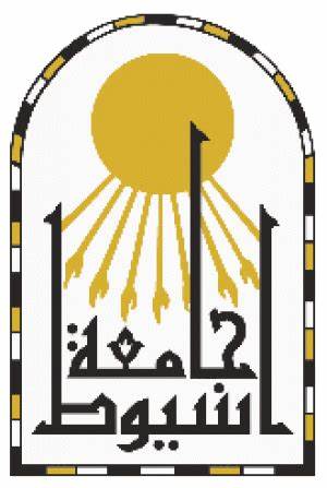شعار MIS